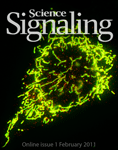 a Signaling cover