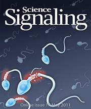 a cover of Science Signaling