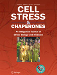 Cell Stress and Chaperones